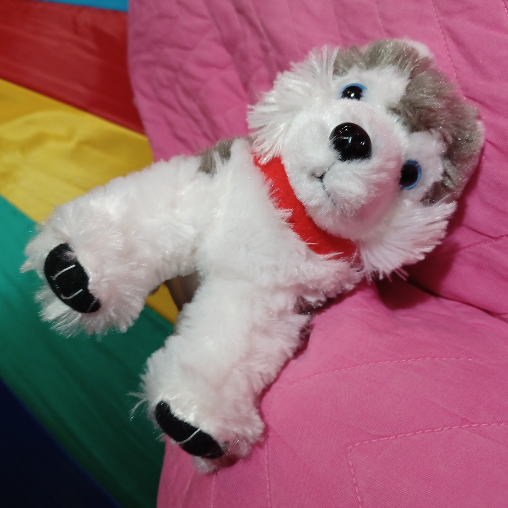 Husky Dog Plyshie - Picture 5 of 11